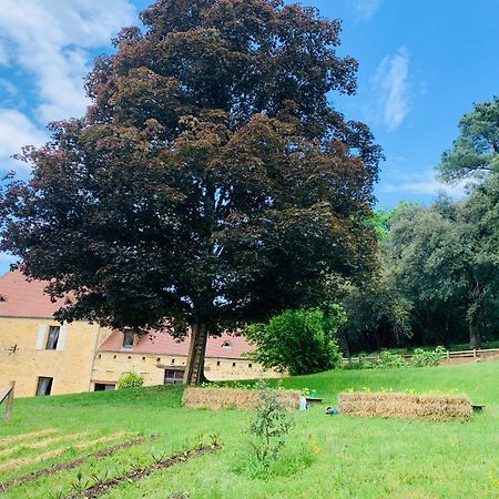 L'Ecrin Des Symes Villa Simeyrols Luaran gambar